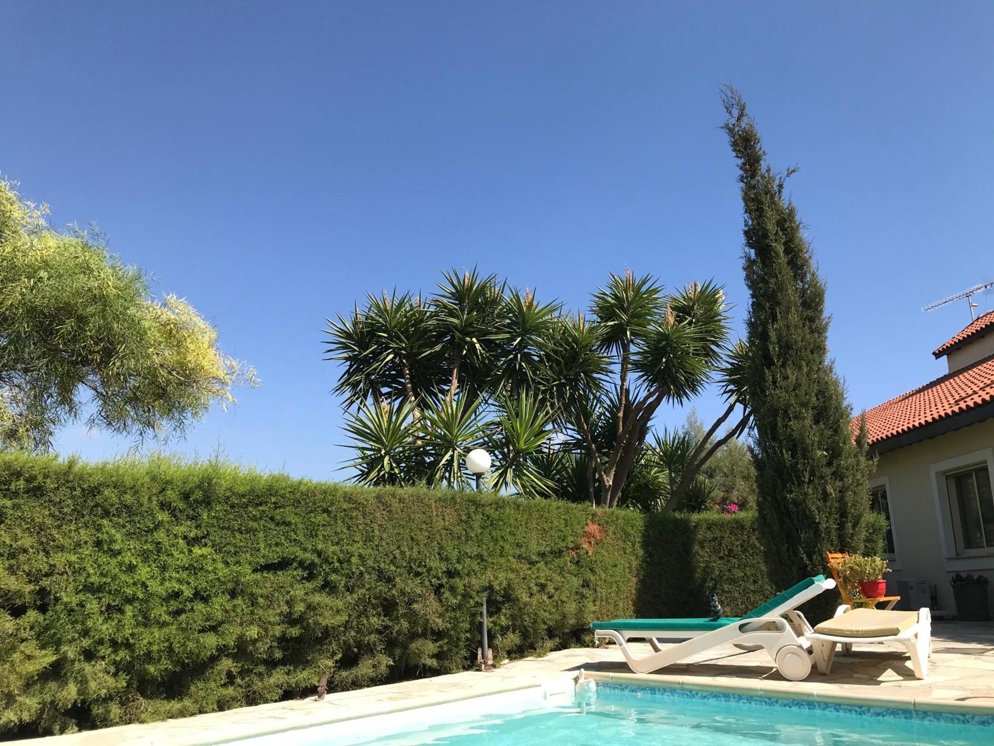 Swimmers' Paradise Pissouri Dış mekan fotoğraf
